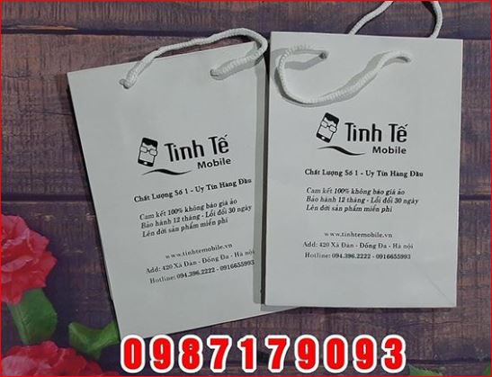 in tui giay - Xưởng In ấn Minh Tâm